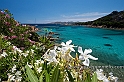 La Maddalena - Cala Lunga (40D_9910_2rid)